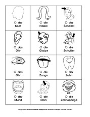 DAZ-Körperteile-Ausschneidebogen.pdf